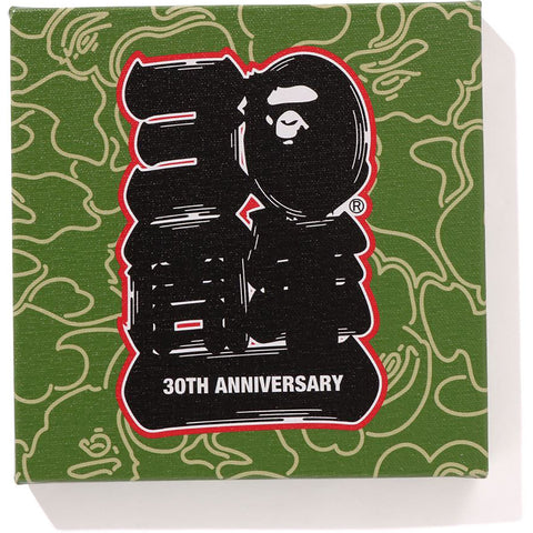 BAPE® 30TH ANNIV. CANVAS SMALL