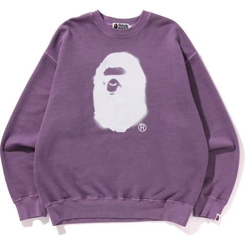 SPRAY APE HEAD GARMENT DYED CREWNECK MENS