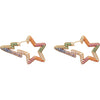 BAPY BAPE STA HOOP EARRINGS LADIES
