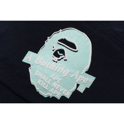 A BATHING APE PANEL CAP M