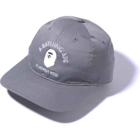 A BATHING APE PANEL CAP 2 M