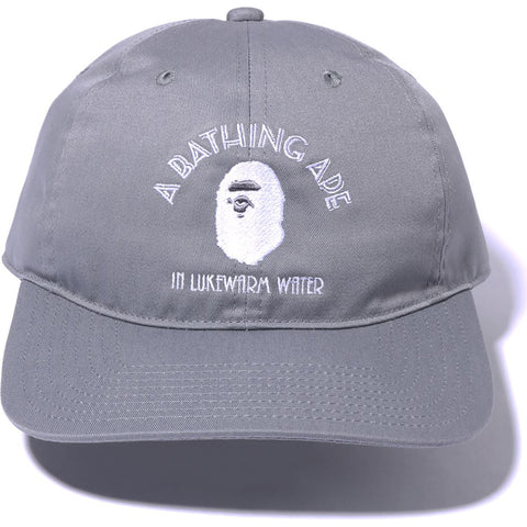 A BATHING APE PANEL CAP 2 M