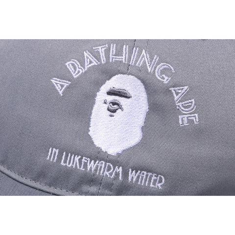 A BATHING APE PANEL CAP 2 M