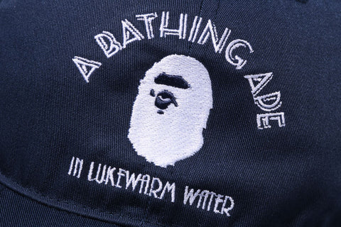 A BATHING APE PANEL CAP 2 M